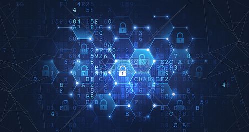 2025年入門網(wǎng)絡(luò)空間安全 前景、路徑與專精方向解析